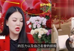 名星最新爆料视频,最新爆料视频深度解析